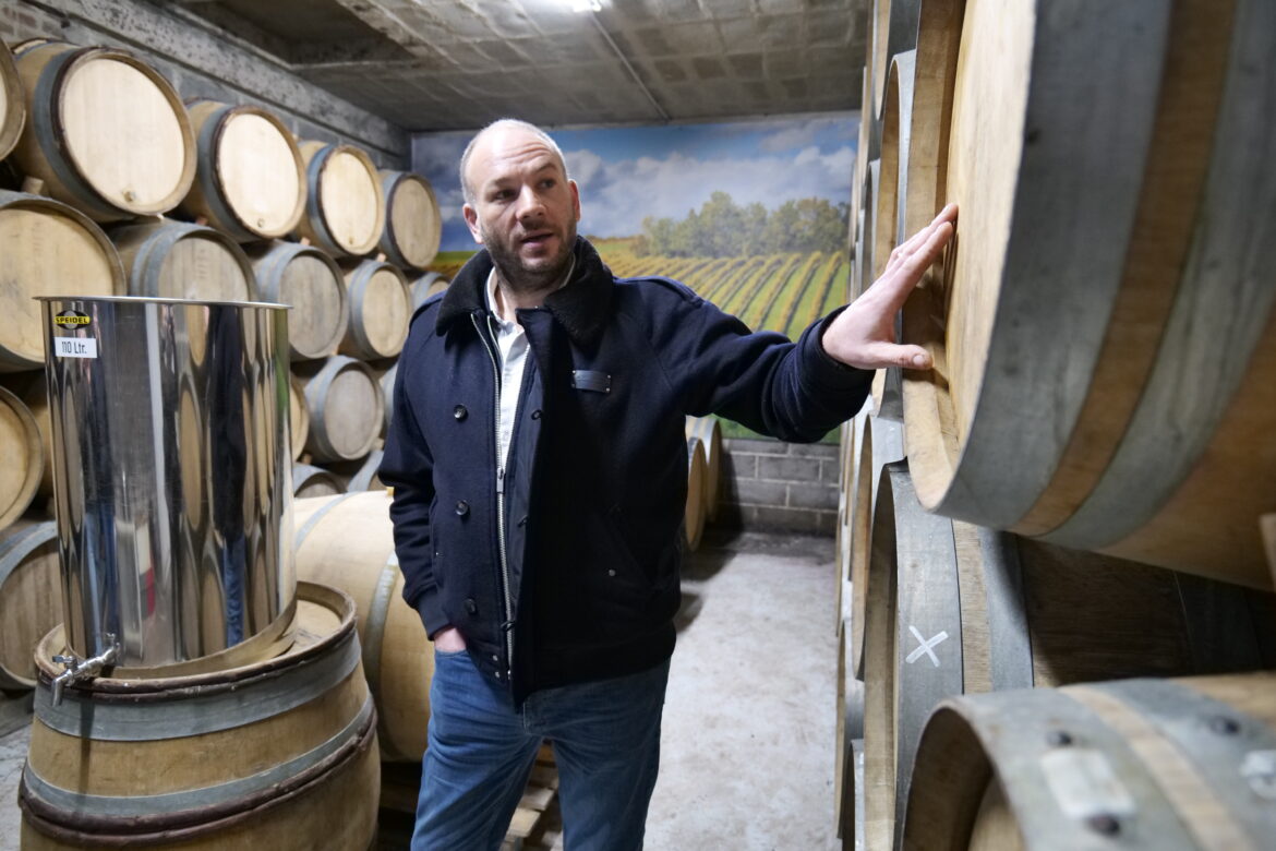 Hauts-de-France  : la viticulture se développe, un bon pari pour l’avenir ?