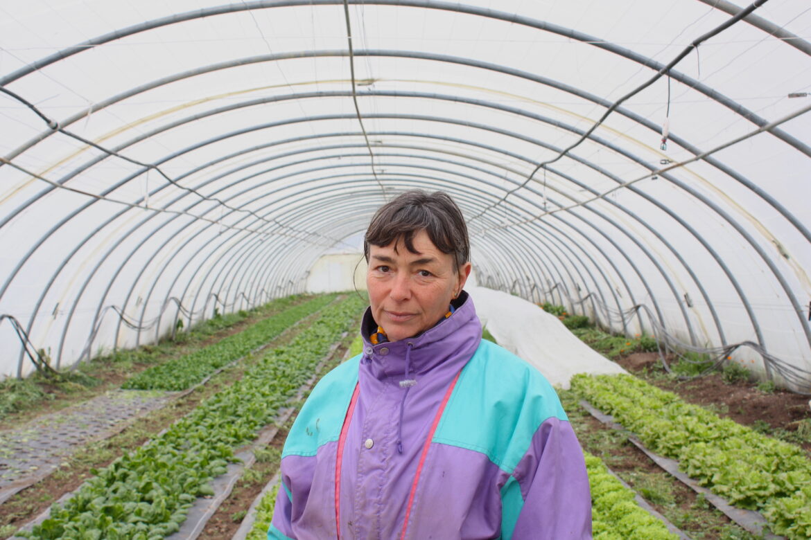 Avec sa ferme, Florence, agricultrice urbaine, ramène la campagne en ville